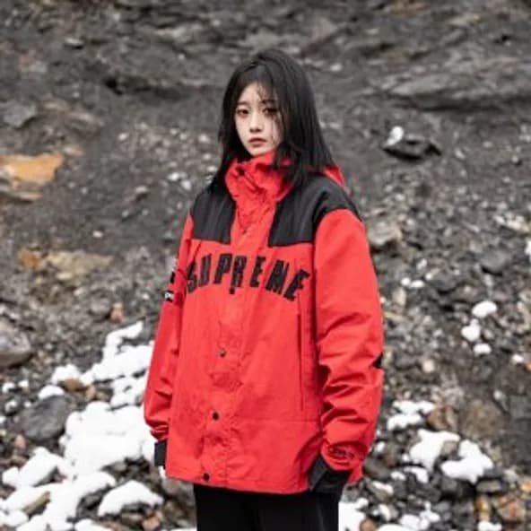 TNF X SUPREME RAIN PROOF JACKET - KakoBuy Spreadsheet